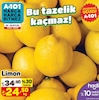 A101 20 Eylül 2024 Kataloğu Limon kg 