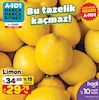 A101 4 Ekim 2024 Kataloğu Limon kg
