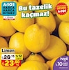 A101 1 Kasım 2024 Kataloğu Limon kg