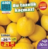 A101 7 Kasım 2024 Kataloğu Limon kg 