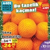 A101 26 Aralık 2024 Kataloğu Portakal Sıkma File Kg