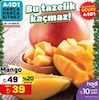 A101 26 Aralık 2024 Kataloğu Mango Adet