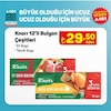 A101 26 Aralık 2024 Kataloğu Knorr 12'li Et Bulyon