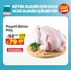 A101 28 Aralık 2024 Kataloğu Poşetli Bütün Piliç kg 