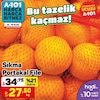 A101 16 Ocak 2025 Kataloğu Portakal Sıkma File Kg