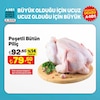 A101 16 Ocak 2025 Kataloğu Poşetli Bütün Piliç kg 