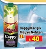 A101 23 Ocak 2025 Kataloğu Cappy Bahçe Karışık Meyve Nektarı 1 lt