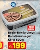 A101 6 Şubat 2025 Kataloğu Beşler Dondurulmuş Dana Kuzu İnegöl Köfte 500 g 