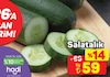 A101 13 Mart 2025 Kataloğu Salatalık Kg