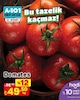 A101 13 Mart 2025 Kataloğu Domates kg