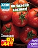 A101 22 Mart 2025 Kataloğu Domates kg