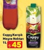 A101 10 Nisan 2025 Kataloğu Cappy Bahçe Karışık Meyve Nektarı 1 lt