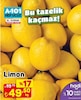 A101 10 Nisan 2025 Kataloğu Limon kg