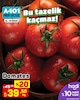 A101 12 Nisan 2025 Kataloğu Domates kg 