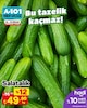A101 12 Nisan 2025 Kataloğu Salatalık Kg