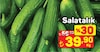 A101 17 Nisan 2025 Kataloğu Salatalık Kg