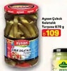 A101 8 Mayıs 2025 Kataloğu Aysan Çubuk Salatalık Turşusu 670 g 