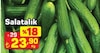 A101 22 Mayıs 2025 Kataloğu Salatalık Kg