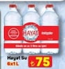 A101 5 Haziran 2025 Kataloğu Hayat 1 lt 6'lı Paket Doğal Mineralli Su
