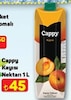 A101 12 Haziran 2025 Kataloğu Cappy Bahçe Kayısı Nektarı 1 lt