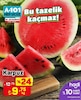A101 20 Haziran 2025 Kataloğu Karpuz 1 kg
