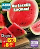 A101 27 Haziran 2025 Kataloğu Karpuz 1 kg
