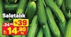 A101 19 Temmuz 2025 Kataloğu Salatalık kg