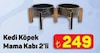 A101 24 Temmuz 2025 Kataloğu Kedi Köpek Mama Kabı 2'li