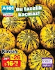 A101 18 Temmuz 2025 Kataloğu Kavun kg