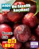 A101 17 Temmuz 2025 Kataloğu Kırmızı Erik kg 