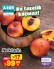 A101 7 Ağustos 2025 Kataloğu Nektarin kg