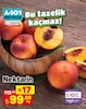 A101 14 Ağustos 2025 Kataloğu Nektarin kg