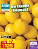 A101 21 Ağustos 2025 Kataloğu Limon kg
