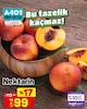 A101 21 Ağustos 2025 Kataloğu Nektarin kg