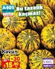 A101 21 Ağustos 2025 Kataloğu Kavun kg