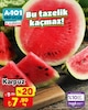 A101 22 Ağustos 2025 Kataloğu Karpuz 1 kg