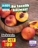A101 28 Ağustos 2025 Kataloğu Nektarin kg