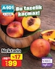 A101 4 Eylül 2025 Kataloğu Nektarin kg 