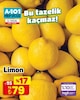 A101 5 Eylül 2025 Kataloğu Limon kg 
