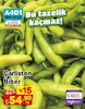 A101 18 Eylül 2025 Kataloğu Çarliston Biber
