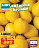 A101 19 Eylül 2025 Kataloğu Limon kg
