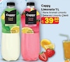 A101 2 Ekim 2025 Kataloğu Cappy Naneli Limonata 1 lt