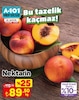 A101 25 Eylül 2025 Kataloğu Nektarin kg