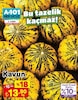 A101 2 Ekim 2025 Kataloğu Kavun kg