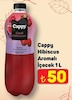 A101 16 Ekim 2025 Kataloğu Cappy Hibiscus Aromalı İçecek 1 lt