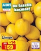 A101 20 Kasım 2025 Kataloğu Limon kg 