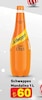 A101 18 Aralık 2025 Kataloğu Schweppes Mandalina 1 lt