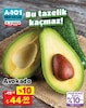 A101 19 Aralık 2025 Kataloğu Avokado Adet