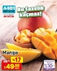 A101 19 Aralık 2025 Kataloğu Mango Adet 