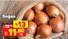 A101 1 Ocak 2026 Kataloğu Soğan Kuru (Yeni Mahsul) Kg